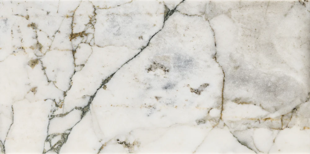 12x24 Verde Reale Classico Marble Tile - Image 2